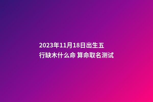 2023年11月18日出生五行缺木什么命 算命取名测试